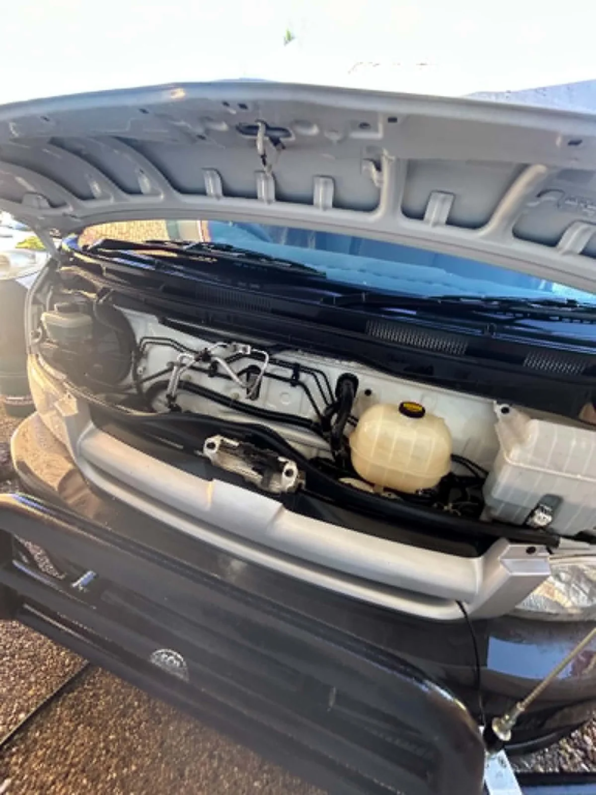 After &mdash; Degrease and dress