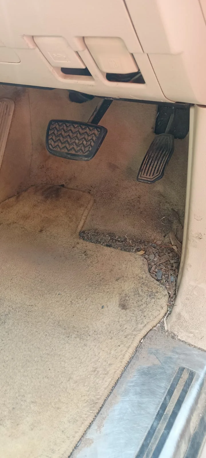 Before &mdash; Carpet and floor