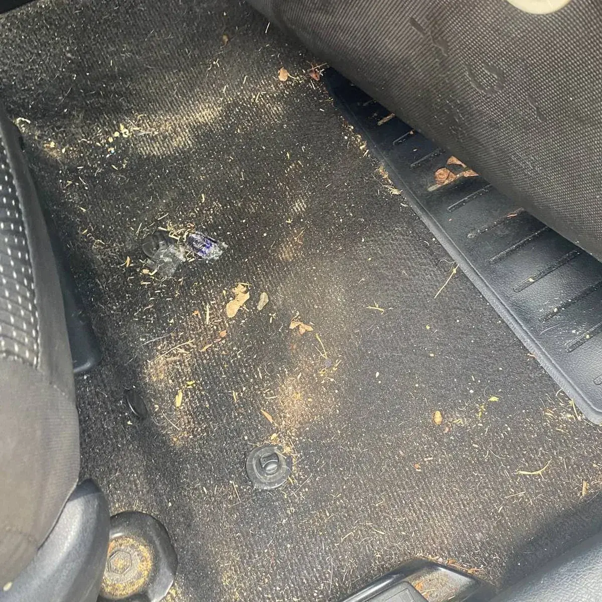 Before &mdash; Floor mats