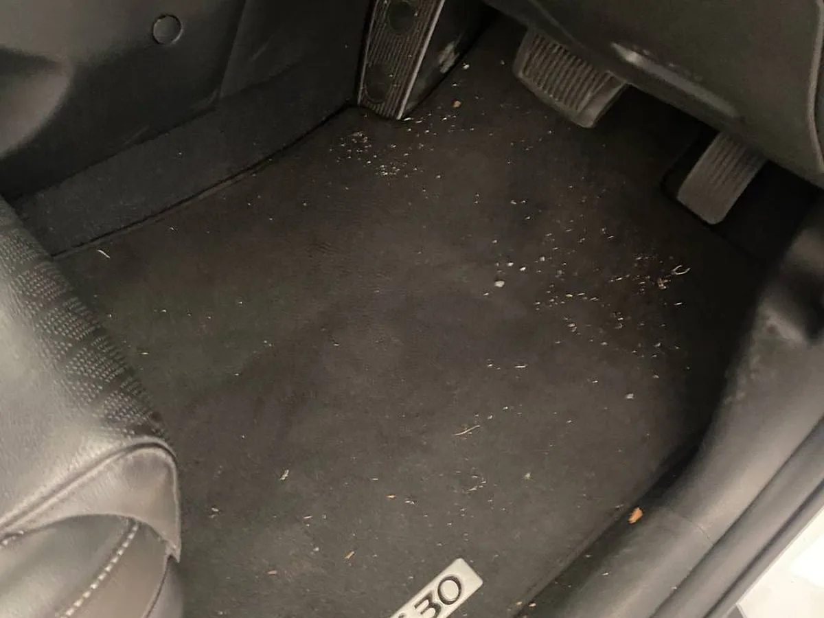 Before: Hyundai i30, the same floor mat