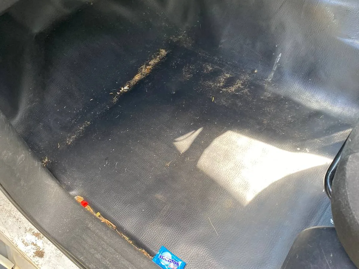 Before: Nissan Navara, the same door sill