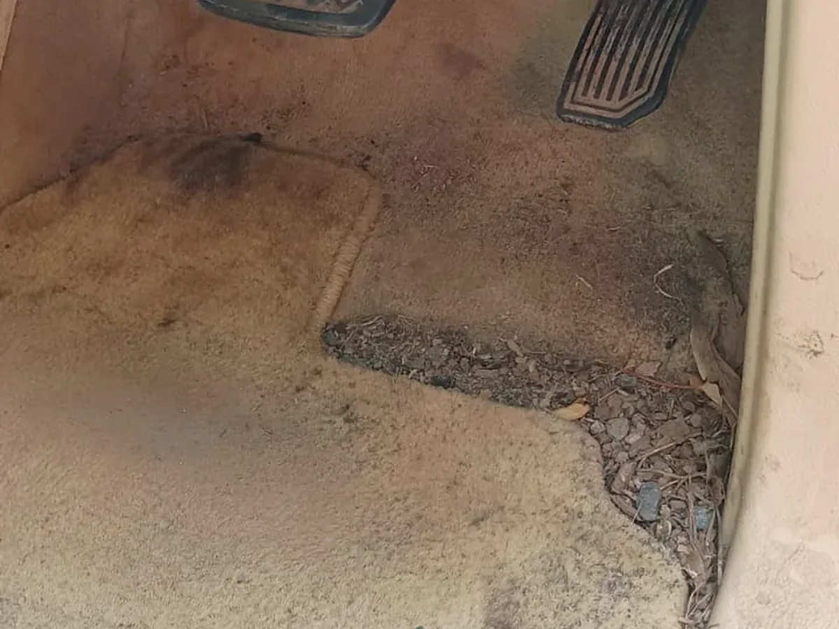 Before: Toyota Prado, tan carpet and leather